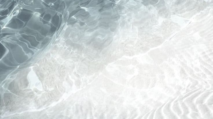 Float artwork for Rapid Reset