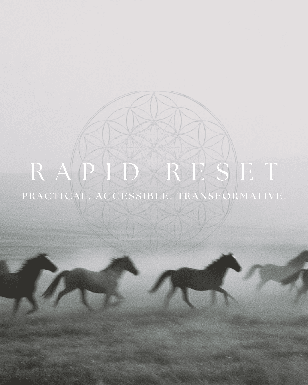 Rapid Reset library header artwork